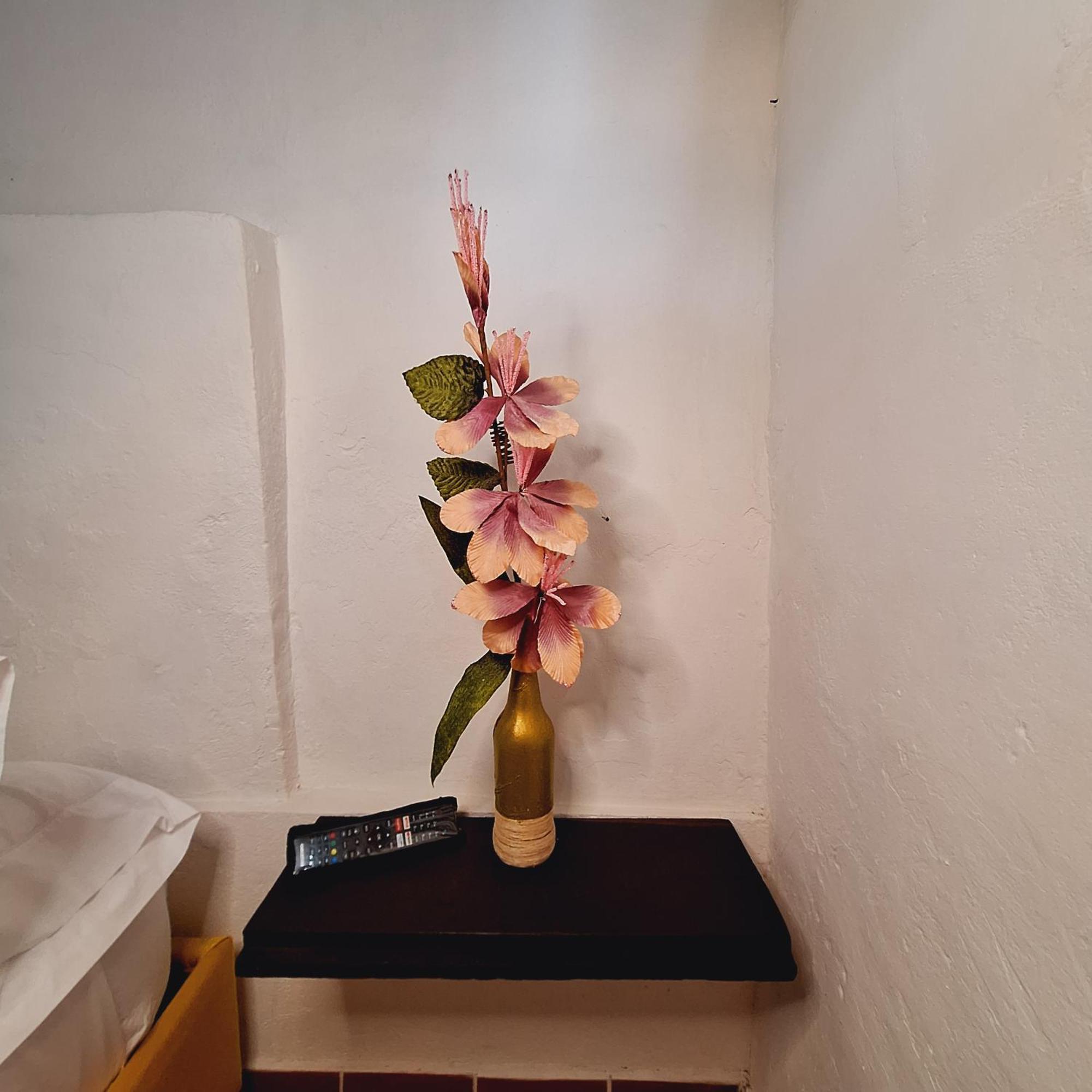 Hostal Colombian Gold San Gil Esterno foto