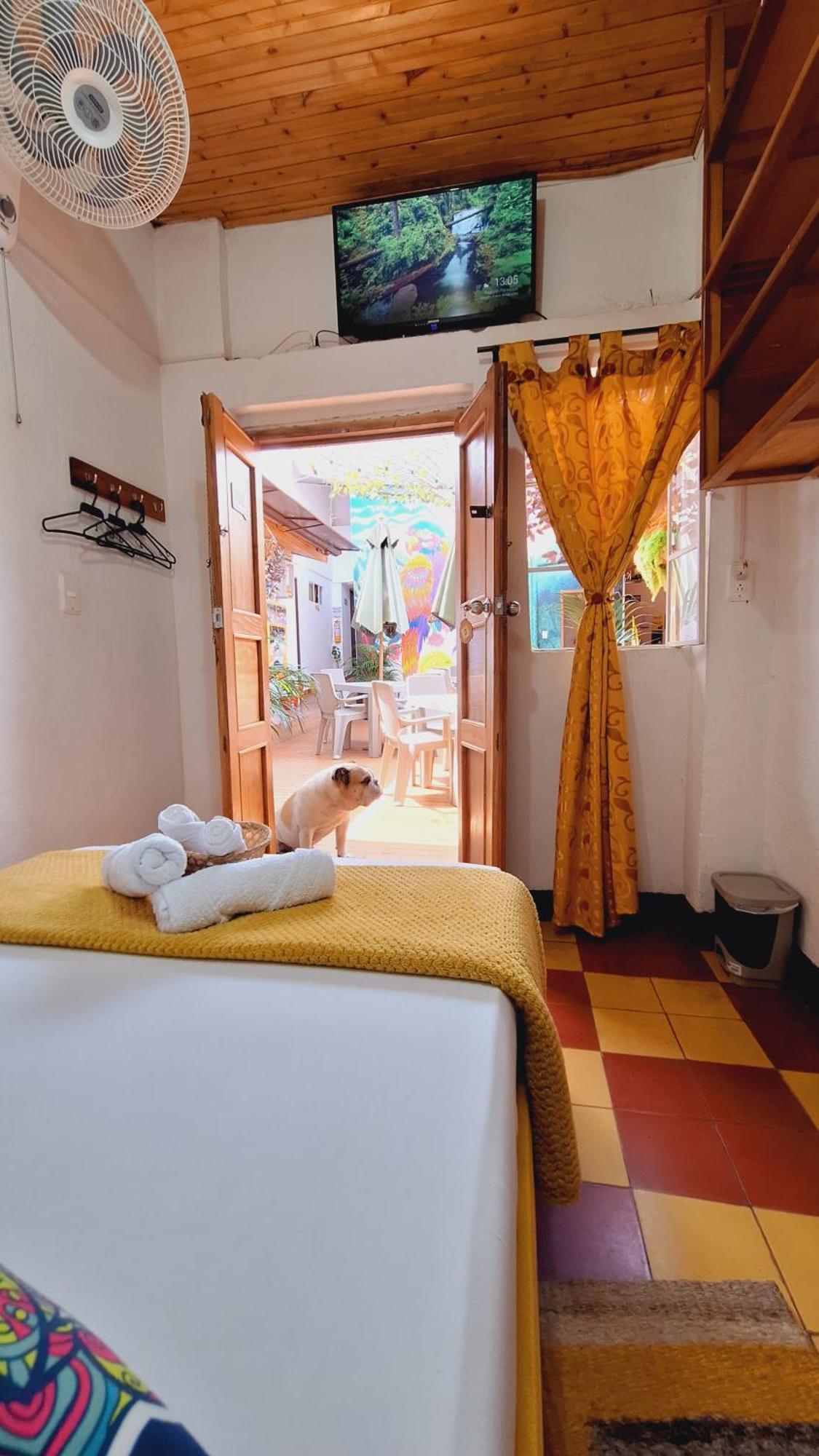 Hostal Colombian Gold San Gil Esterno foto
